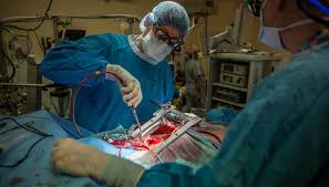 Training for a career in cardiothoracic surgery is not for the faint of heart. What Qualities Are Needed To Be A Heart Surgeon Faculty Of Medicine