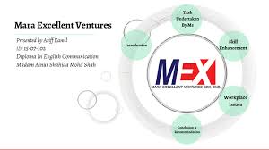 It was formed to aid, train, and guide bumiputra (malays and other indigenous malaysians) in the areas of business and industry. Mara Excellent Ventures By Ariff Kamil