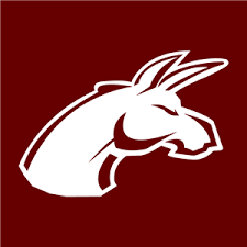 Wer spaß an physik und herausfordernden knobeleien hat, ist hier genau richtig! Ipn Burros Blancos Logo Vector Ai Free Download