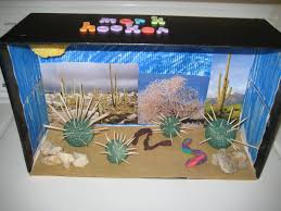 Desert Biome In A Box Pin On We Gotta Do A Project