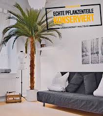 Flower bush) stammt nicht aus der botanik,. Palmen24 De 49 0 30 294 2299