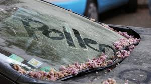 Informieren sie sich anhand eines pollenflugkalenders, wann die pollen fliegen, die bei ihnen beschwerden auslösen. Allergiker Und Der Fruhling Welche Pollen Fliegen Derzeit B Z Berlin