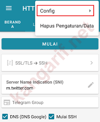 Download, streaming, gaming tanpa fup dengan koneksi fiber to the home. Cara Membuat Config Http Injector Untuk Semua Operator Kangarif Net