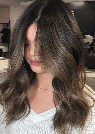 Unique Low Maintenance High Quality Balayage Hair Colors For 2019 Stylesmod Hair Color Balayage Hair Highlights Balayage Hair