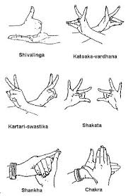 Samyukta Hasta Bharatanatyam Hasta Mudra Hand Gestures In