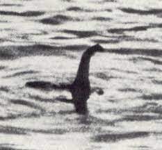 The loch ness monster or nessie (scottish gaelic: Scientists Have Been Investigating The Loch Ness Monster This Is What They Ve Found World Economic Forum