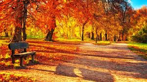818 free images of autumn wallpaper. Autumn 1920x1080 Wallpapers Wallpaper Cave