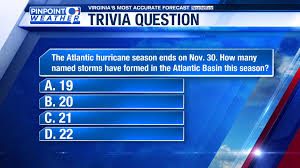 3) what kind of dog is wilson? Zfr3w9vuvx7q5m