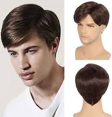 Swiking Men Brown Straight Wigs Short Side Part Natural Synthetic Hair for  Male Daily Full Wig : Clothing, Shoes & Jewelry