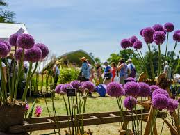 Woburn Abbey Garden Show 2019 Lady Co Uk