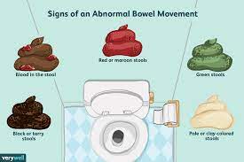 What It Means To Have A Normal Bowel Movement Healthy Bowel Movement Bowel Movement Bowels