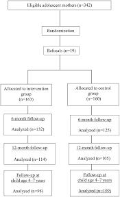 flow chart of the randomized clinical trial phases from