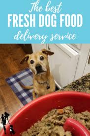 We will review a few popular services, find out where exactly they ship to and what they offer. Fresh Made Cat Food Delivery 2021 At Cats Addlab Aalto Fi