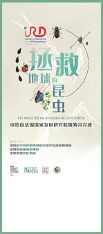 Check spelling or type a new query. Pleasure Seeker Dada Bar Club Events Calendar Gokunming