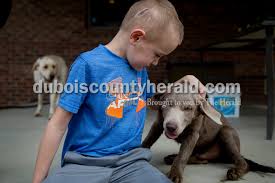 Week in Review 2016-11-06