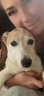 Grief and support for loss of a beloved pet