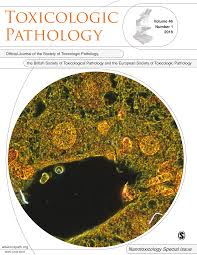Analytical High-resolution Electron Microscopy Reveals Organ-specific  Nanoceria Bioprocessing
