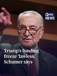 Schumer Criticizes Trump's Federal Funding Pause
