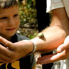 St. Thomas Mangrove Kayak, Hike, & Snorkel Tour with Lunch