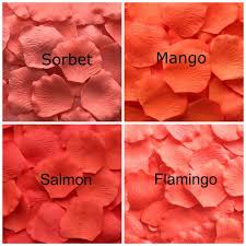 Learning color in english with subtitle indonesia. 31 Macam Macam Warna Orange Yang Wajib Kamu Tahu