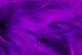 The ephemeral tweet format is shutting down due to low usage after launching widely just eight months ago. Pov Twitter Fleet Ads