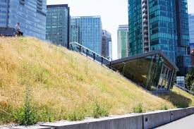 Apply to the latest jobs in vancouver, bc canada. Vancouver To Develop Green Roof Policy The Star