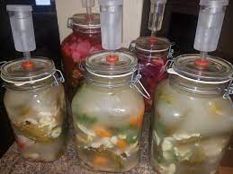 Welcome back to the kitchen; Lacto Fermented Hatch Chili Peppers A Carolina Reaper Ghost Pepper Habanero Medley Three Levels Of Spicy Pickles Carolina Reaper Habanero And Jalapeno Just Added The Onion Garlic And Dill To The Pickles