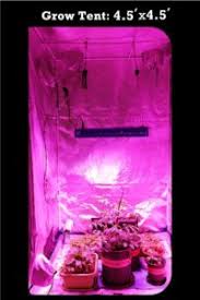 The plants on the sides all were leaning towards the. Meizhi Led Grow Light Review