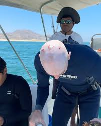 Jack of all trades, master of none!, Get it? Cuz the fish 🐟 is a “Jack”?,  No? Nevermind 😂😌😂