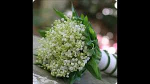 We did not find results for: Wedding Flowers Lily Of The Valley Youtube