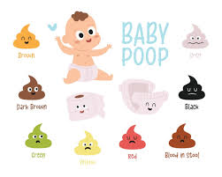 Image result for Newborn Stool Color