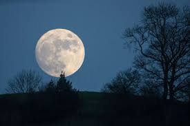 International Observe the Moon Night: When and How to Participate