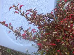 Walaupun begitu, main game cacing via emulator juga enggak kalah seru, kok! Waktu Solat Malaysia Waktu Solat Dot Net