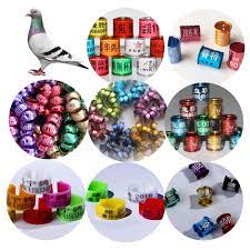 pin on pet products