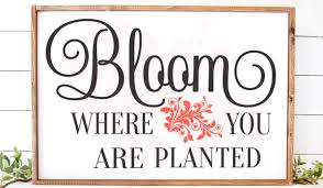 Bloom Where You Are Planted Garden Graphic By Farmstone Studio Designs Creative Fabrica