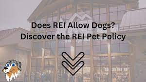 Does REI Allow Dogs? [Updated 2023 Pet Policy]