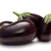 Melanzana is an italian equivalent of the english word eggplant.specifically, the italian word is a feminine noun. 1