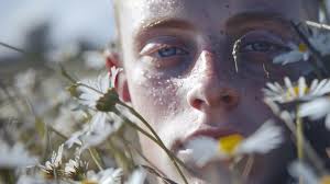 Springs innocence close up portrait amid daisy fields reflecting seasonal  joy