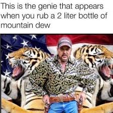 Wild joe exotic of tiger king has unleashed pure mayhem in meme form. Best Tiger King Memes Popsugar Entertainment