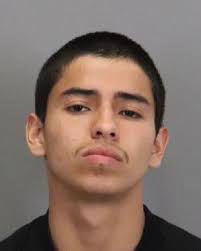 San Jose Teenager Stabbed to Death in Alleged Gang-Related Incident