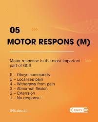 Image result for Coma Exam