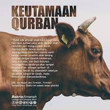 Ayo Qurban Qurban Islam Ayo