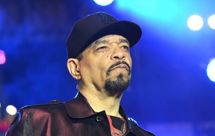 Ice-T confirms Fin will appear in Law & Order: SVU Season 27's final three  episodes - PRIMETIMER