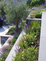 Garden Design By Cornwall Designer Based In Falmouth Mediterranean Terrace Garden In 2020 Garden Design London Garden Design Terrace Garden