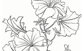 9 mar 2020 esplora la bacheca disegni di fiori di marilena su pinterest. Fiori Disegni Da Stampare Gratis E Da Colorare Per Bambini