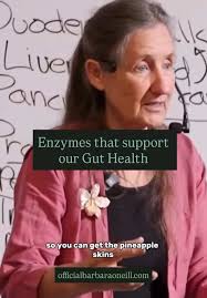 Barbara Oneil Say about Pineapple