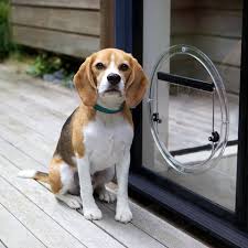 Pet door in glass cat & dog door installation in brisbane. Quality Glass Pet Doors In Newcastle Koala Glass