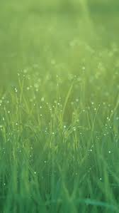 Grass Live Wallpaper Apk For Iphone Download Android Apk Games Ios Wallpapers Live Wallpaper Iphone Iphone 6 Wallpaper
