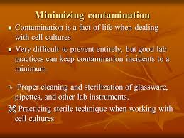 Animal cell culture (acc) is the process of culture of animal cells outside the tissue (ex vivo) from which they were obtained. Cell Culture Technique And Its Implication Ppt Video Online Download