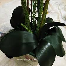#artificialflower #flower #bunga #bungahiasan #decor #decorrumah #bungamurah #rosemurah #roses #rose #offer. Gubah Bunga Orkid Tak Susah Mana Pun Ni Step Nak Buatnya Sendiri Boleh Jimat Ratusan Ringgit Keluarga
